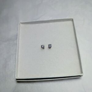 Moissanite Stud Earrings (.5 Ctw)